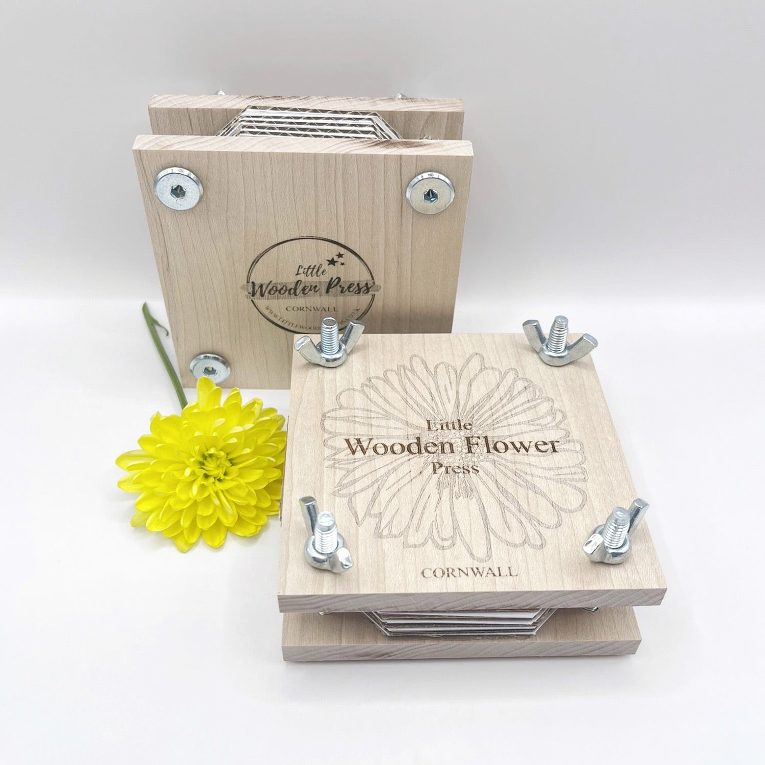 Wooden flower press with a yellow flower on a white background