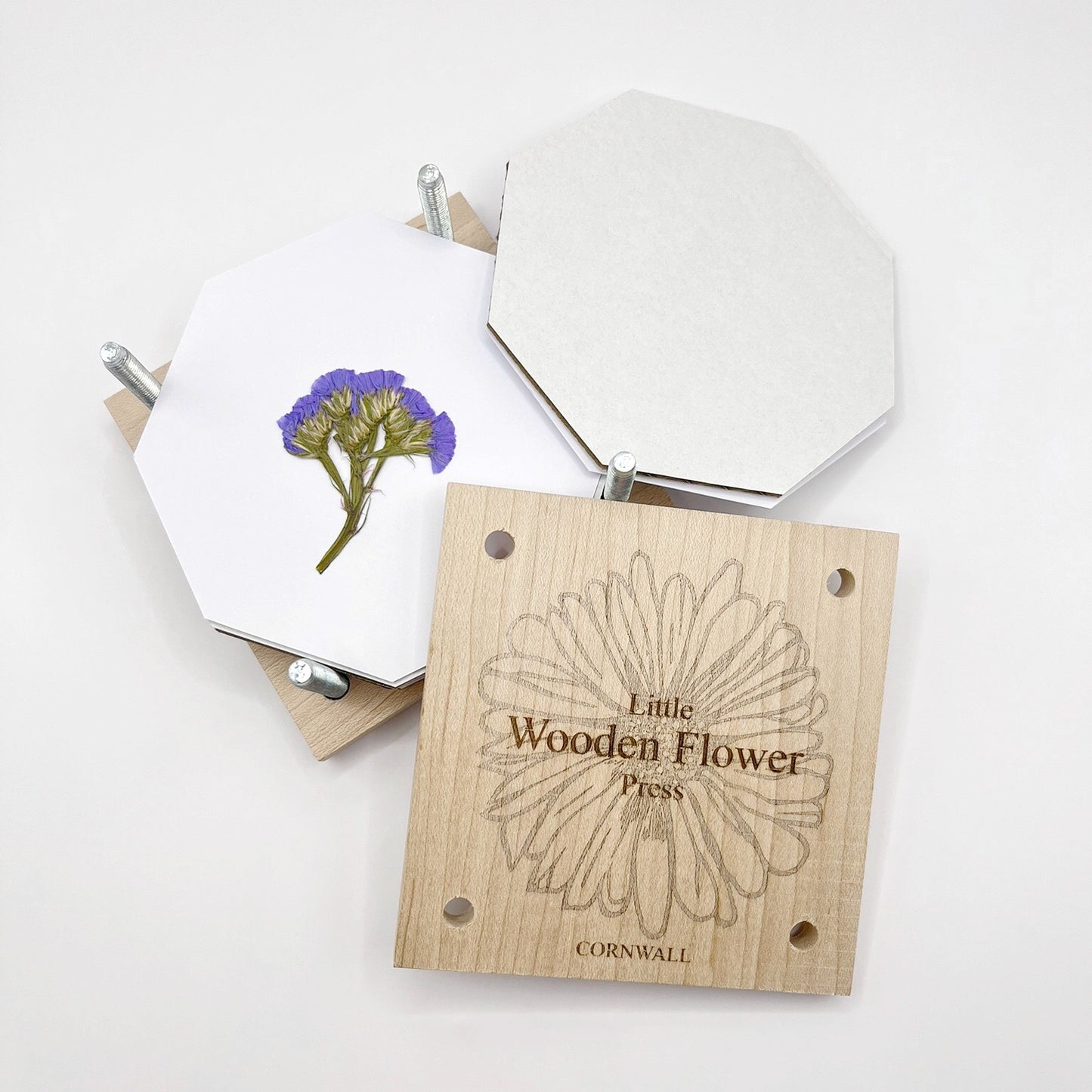 Wooden flower press with a pressed flower on a white background