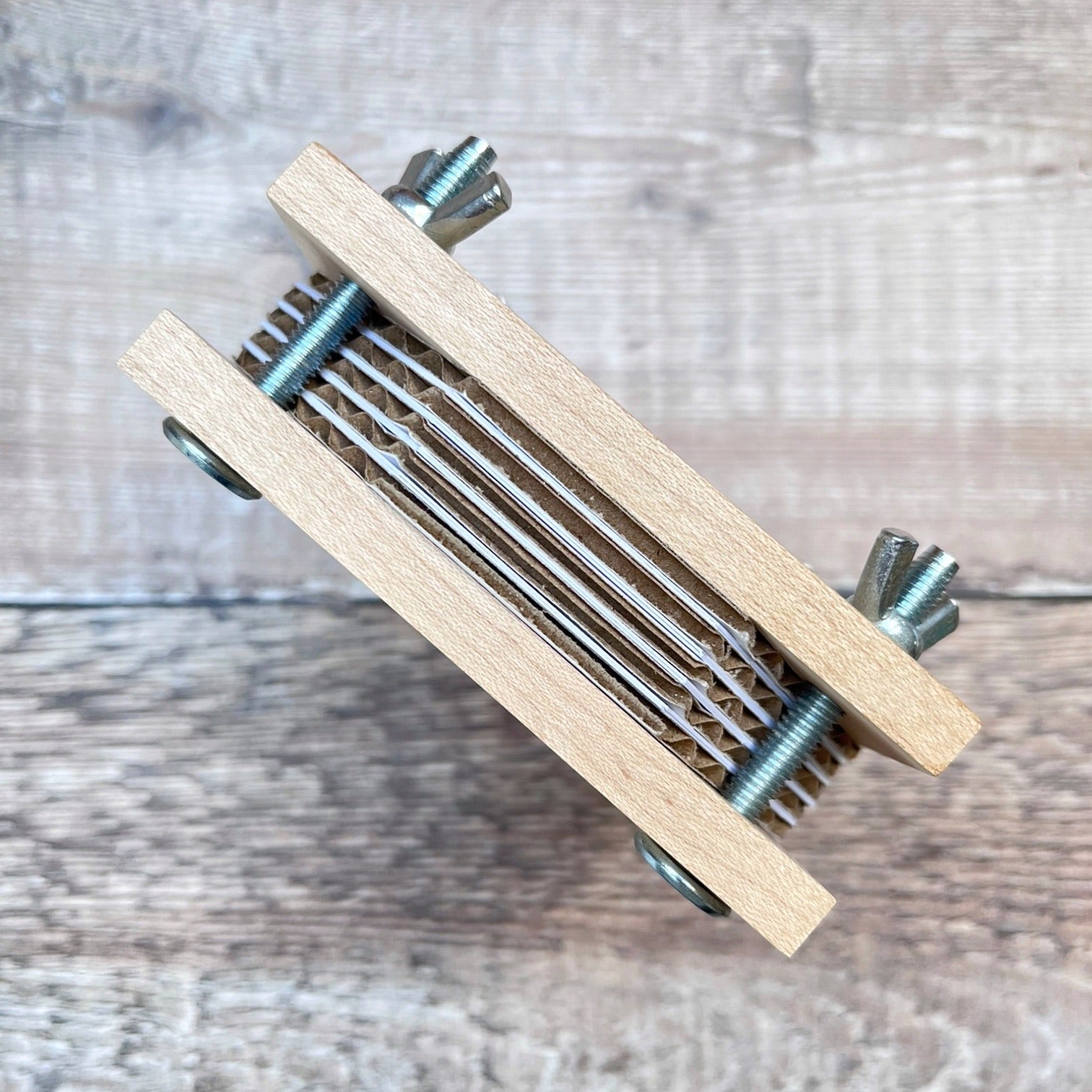 Wooden flower press on its side to show the layers within, against a textured background