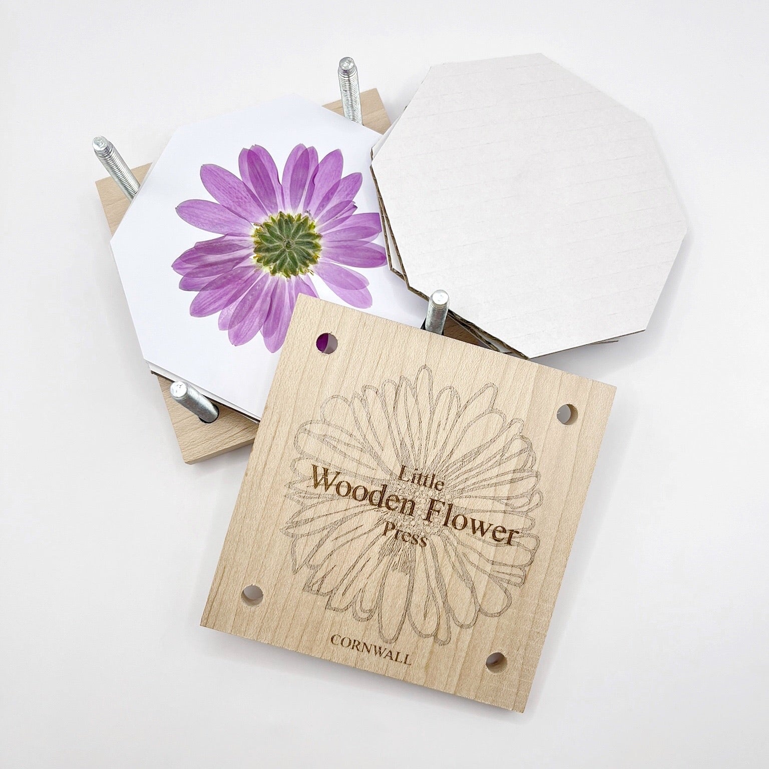 Wooden flower press with a pressed flower on a white background