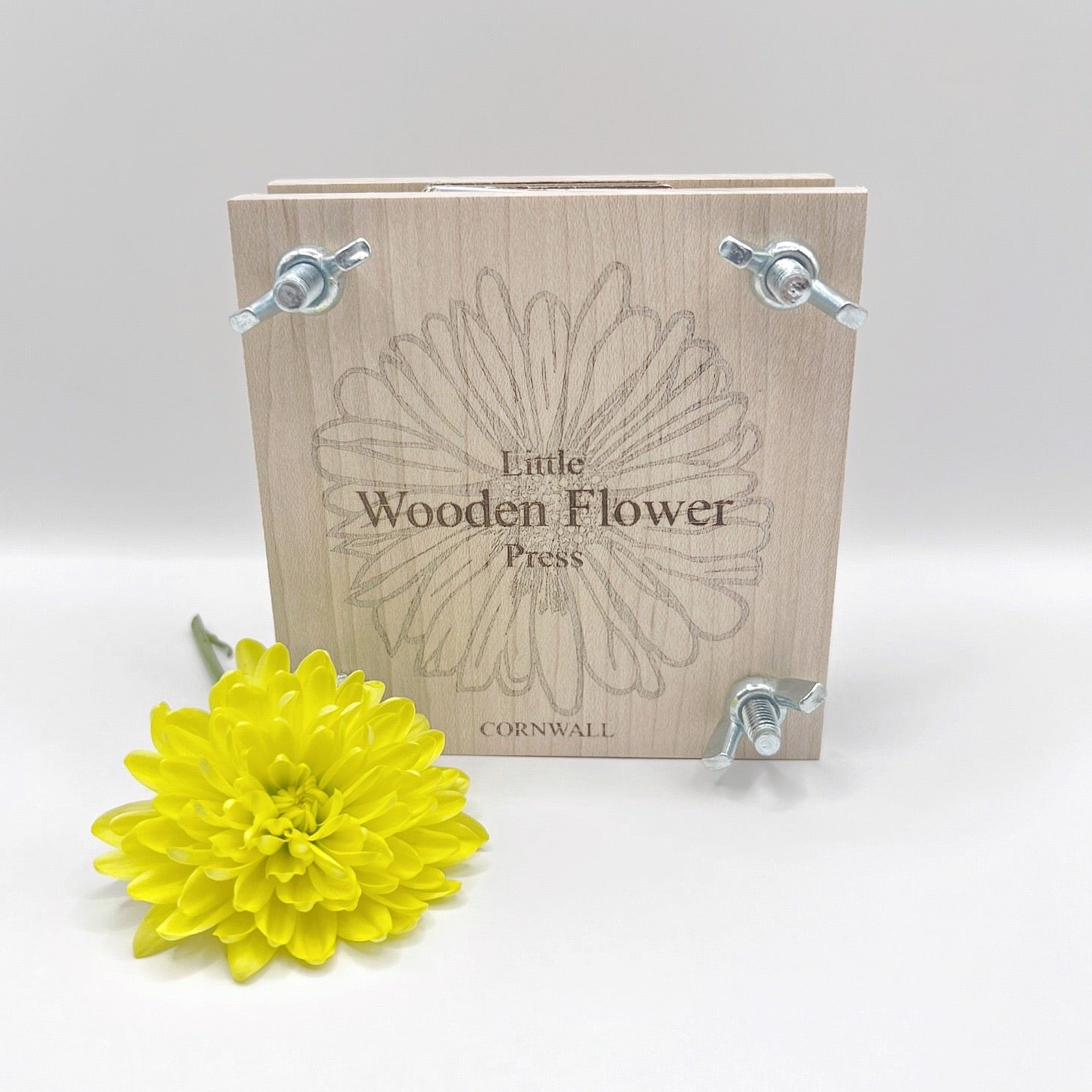Wooden flower press with a yellow flower stood on its side against a white background