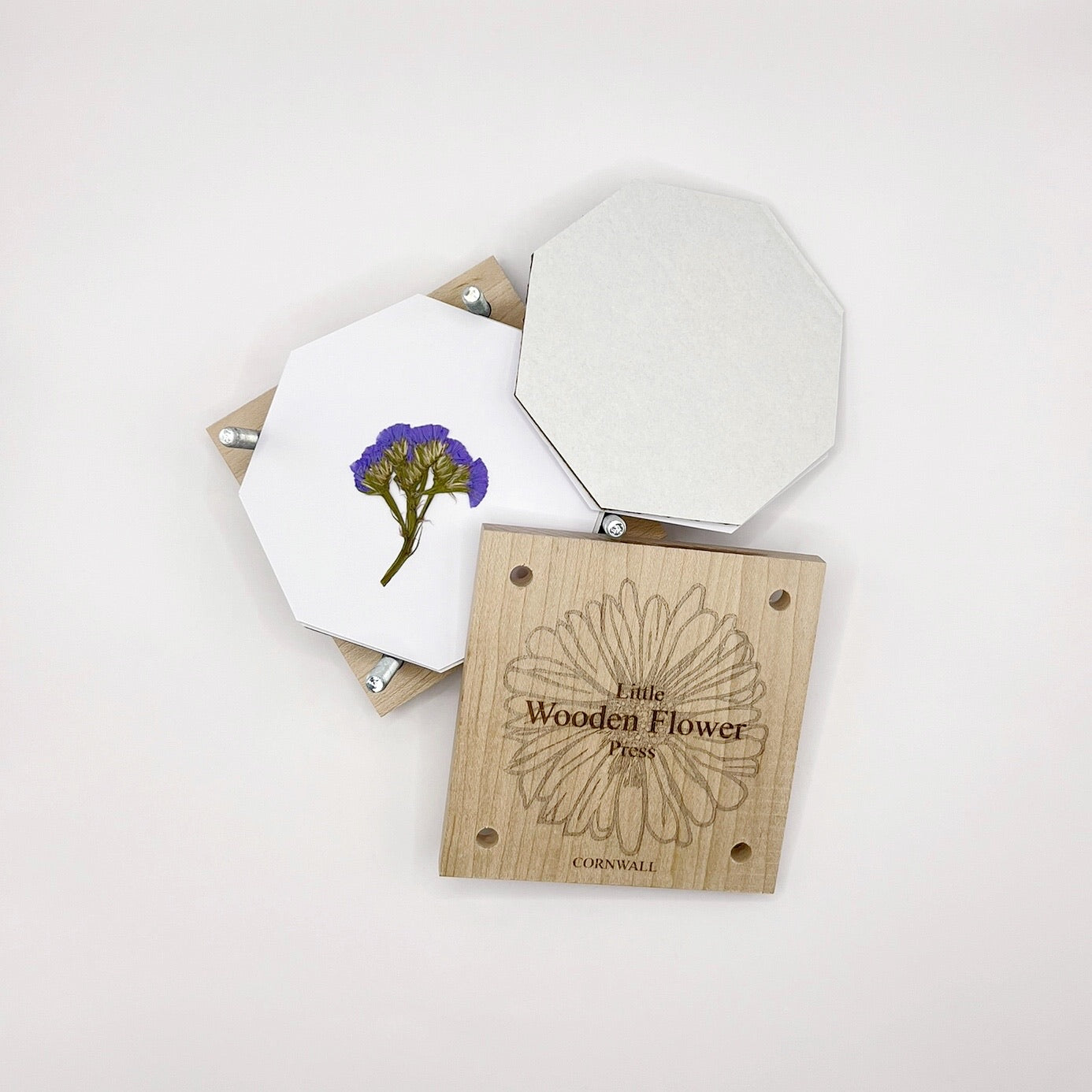 Wooden flower press with a pressed flower on a white background