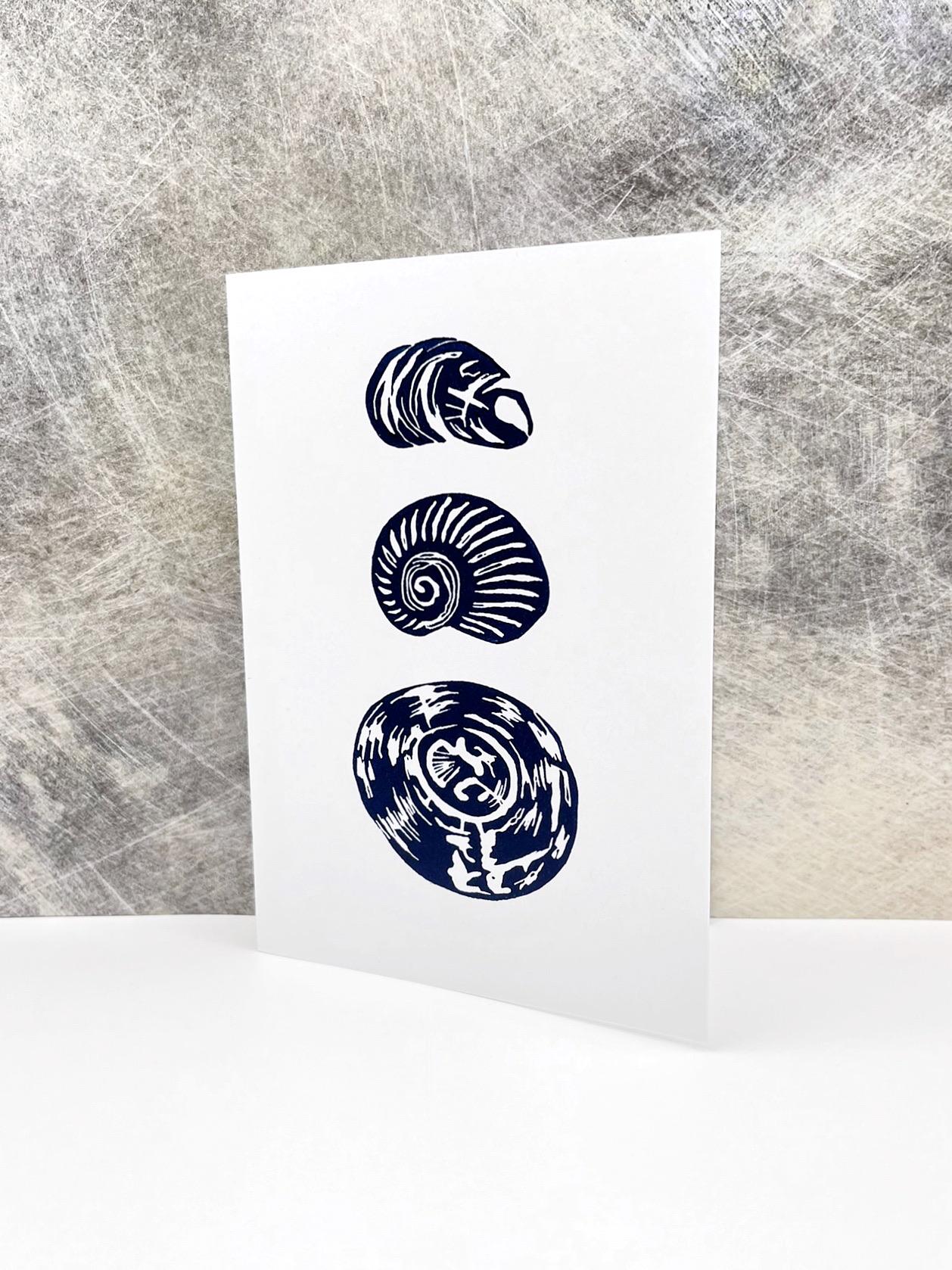 Three blue shell illustrations on a white card stood against a textured grey background