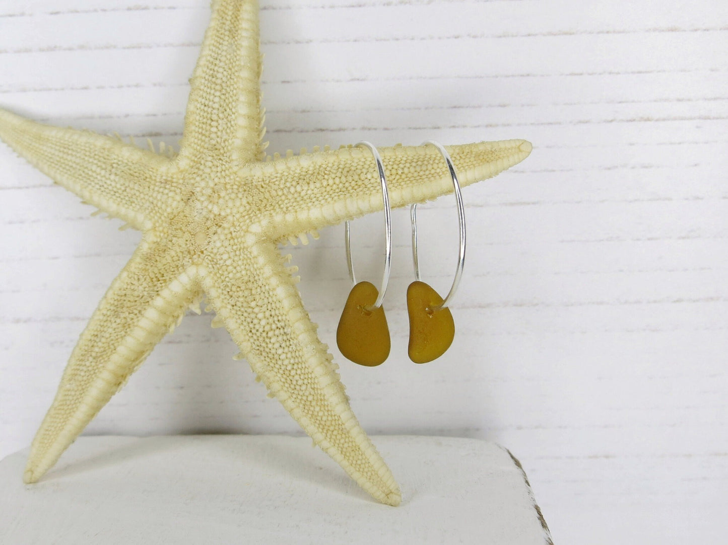 Pair of silver hoop earrings with burnt orange sea glass hanging on a starfish against a white background