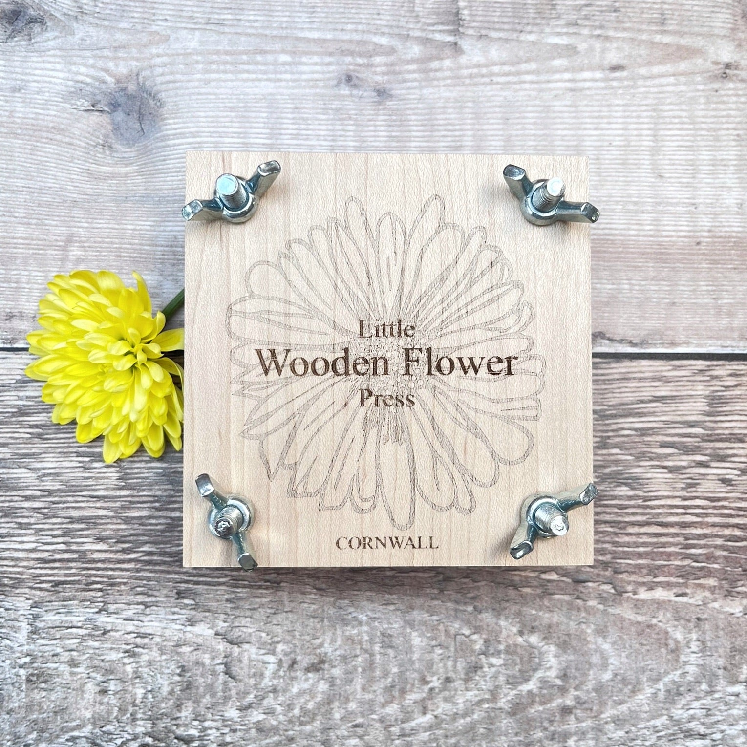 Wooden flower press with 'Little Wooden Flower Press Cornwall' branding on a wooden surface with a yellow flower.