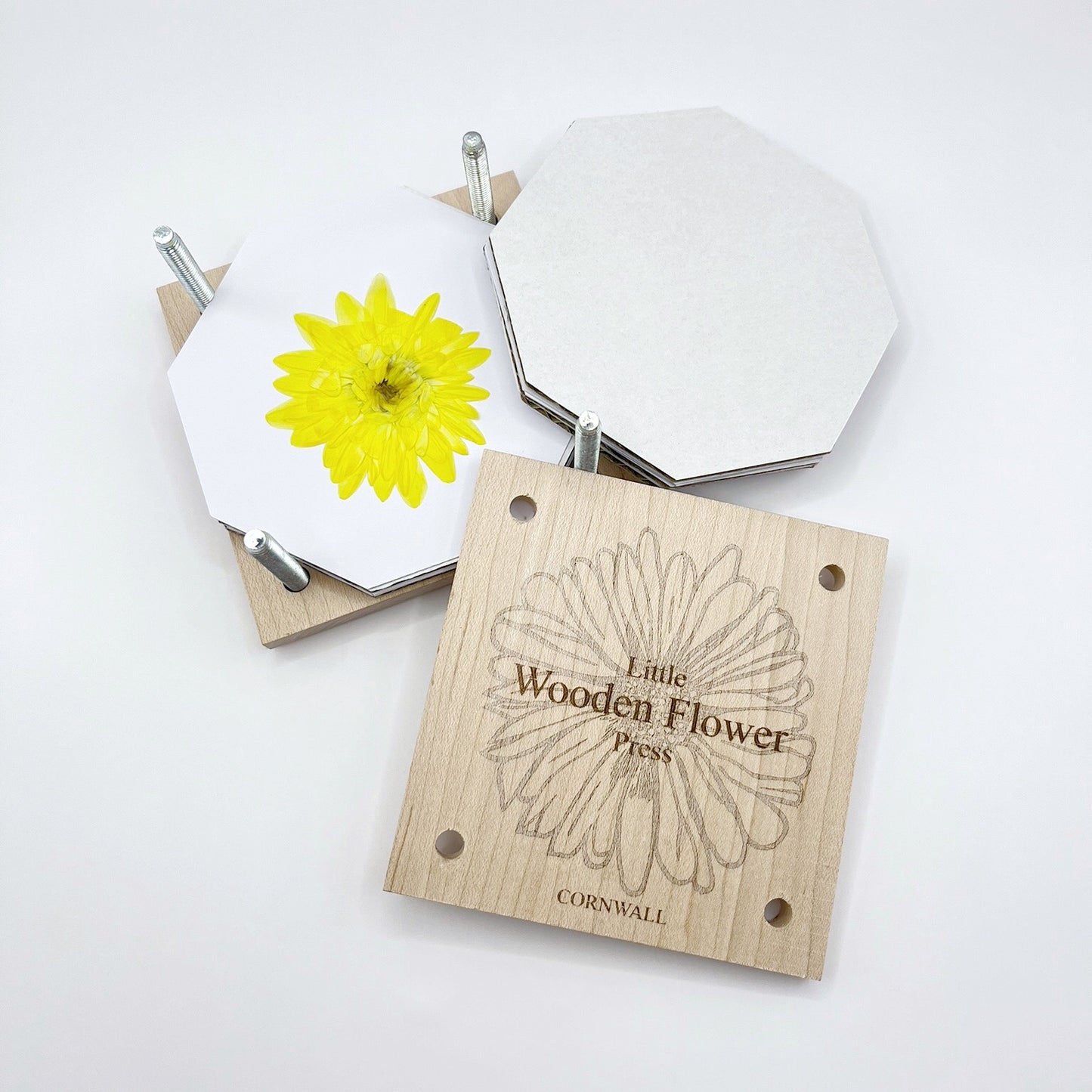 Showing a pressed flower inside the layers of the flower press 'Little Wooden Flower Press' on a white background.