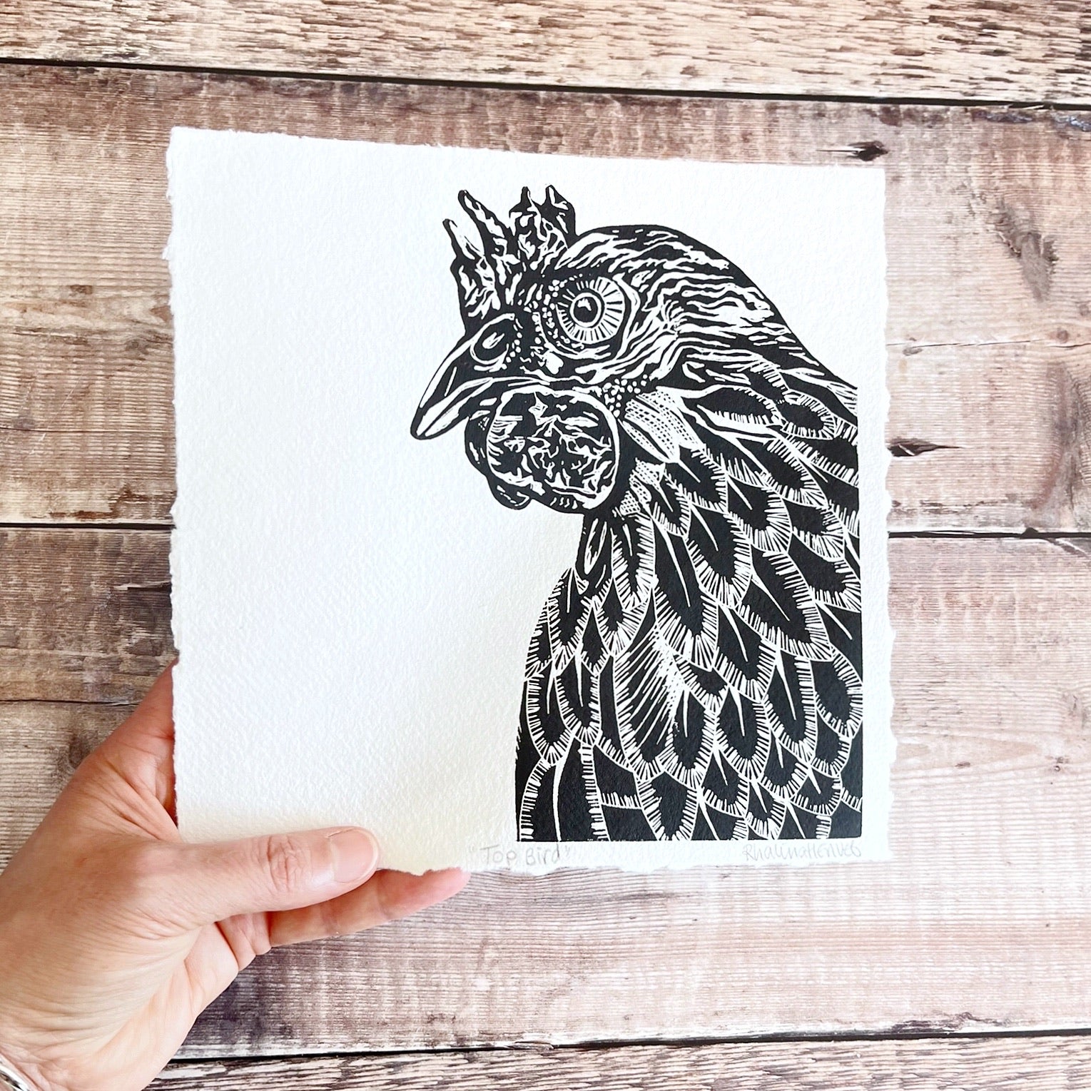 Black and white linocut of a chicken held against a wooden surface.