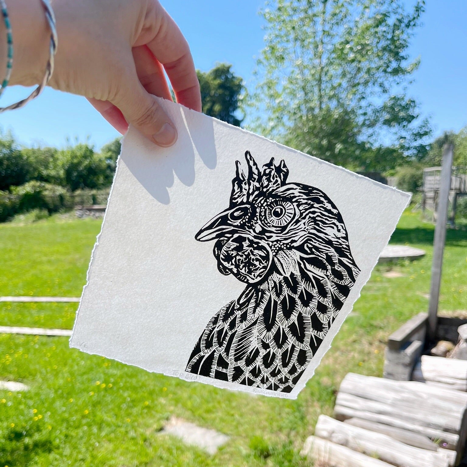 Black and white linocut of a chicken held in a hand against a garden background.