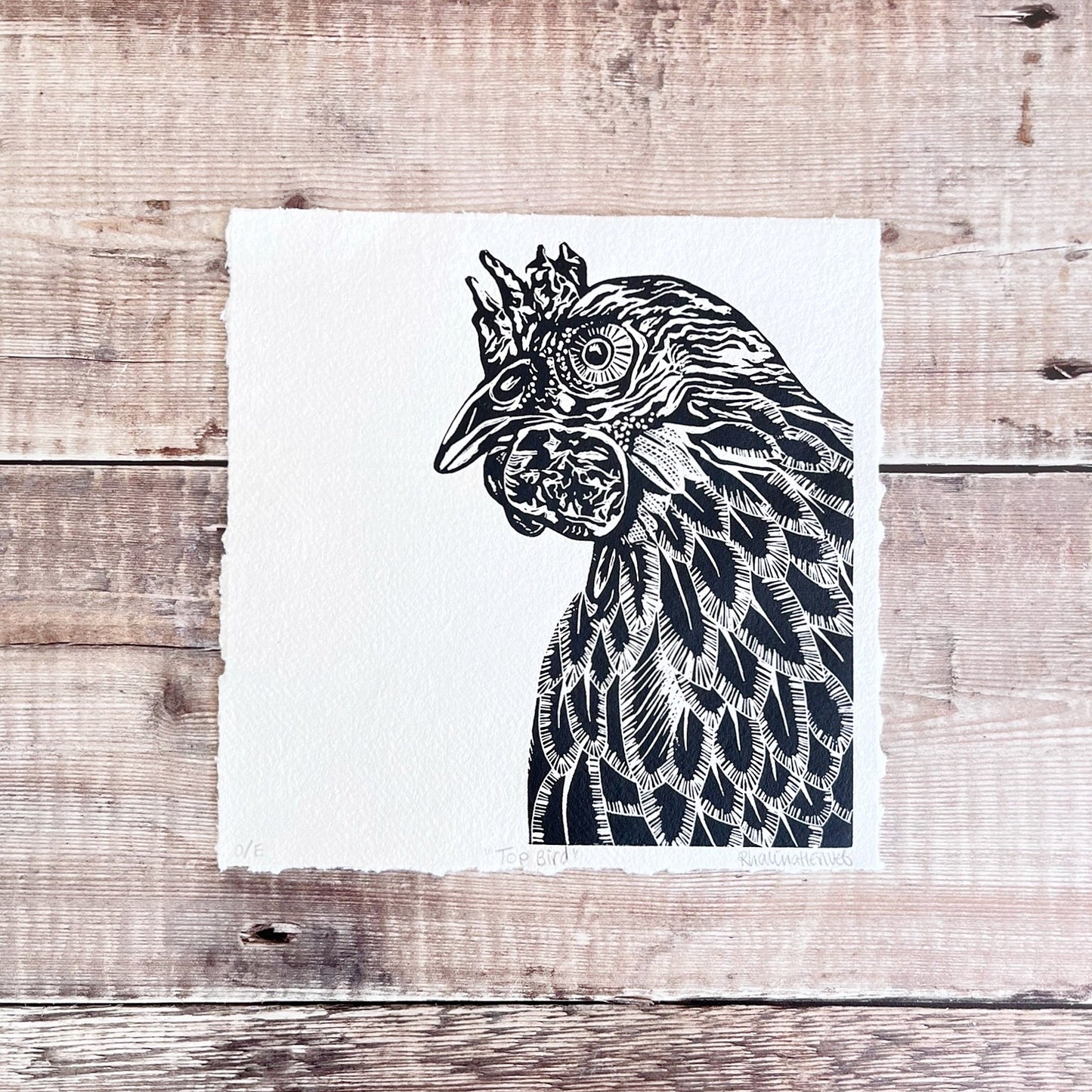 Black and white linocut of a chicken laid on a wooden surface.