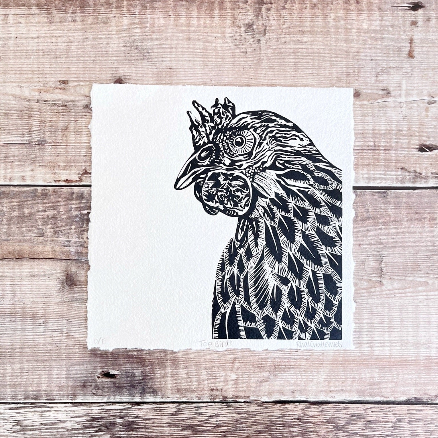 Black and white linocut of a chicken laid on a wooden surface.