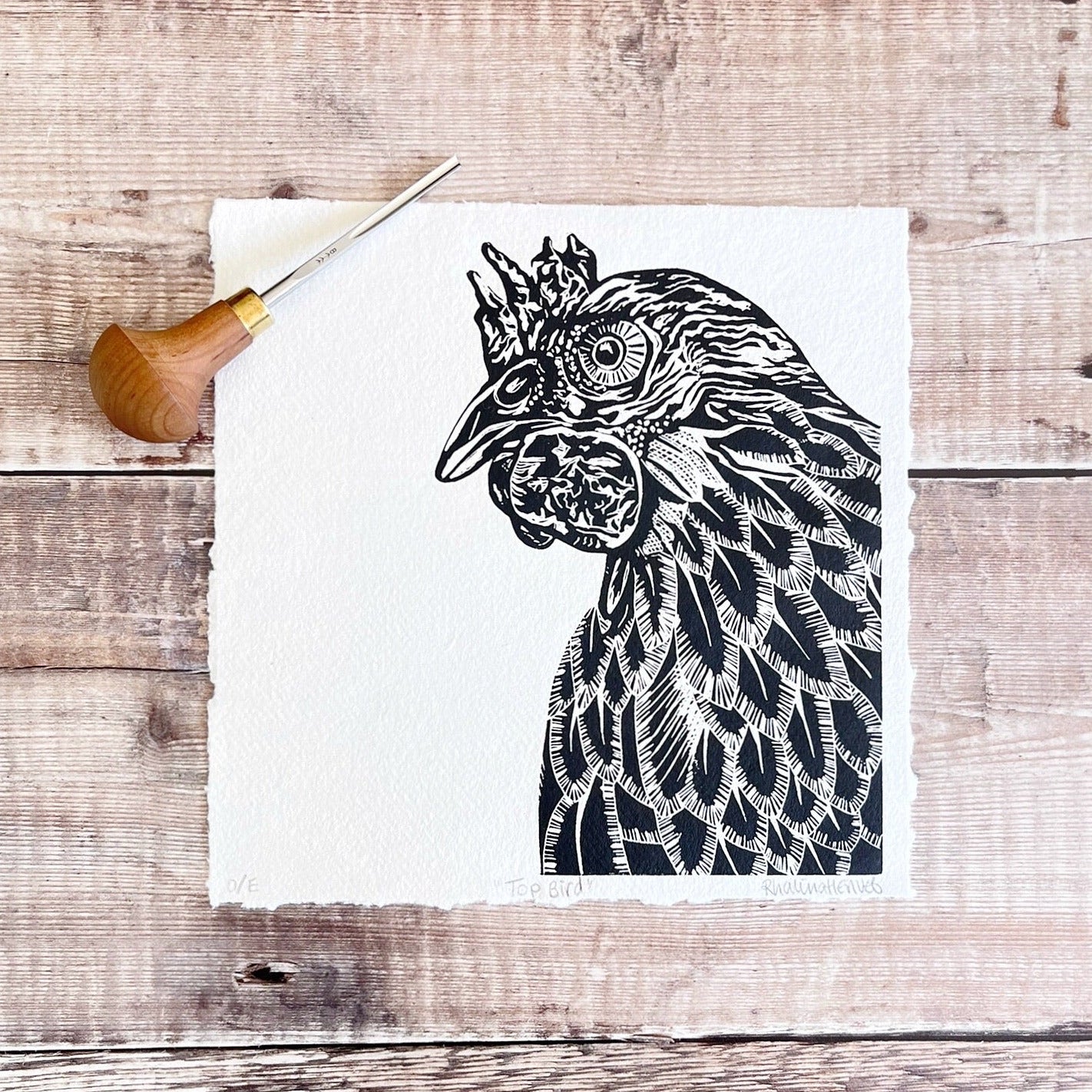 Black and white linocut of a chicken laid on a wooden surface with a carving tool.