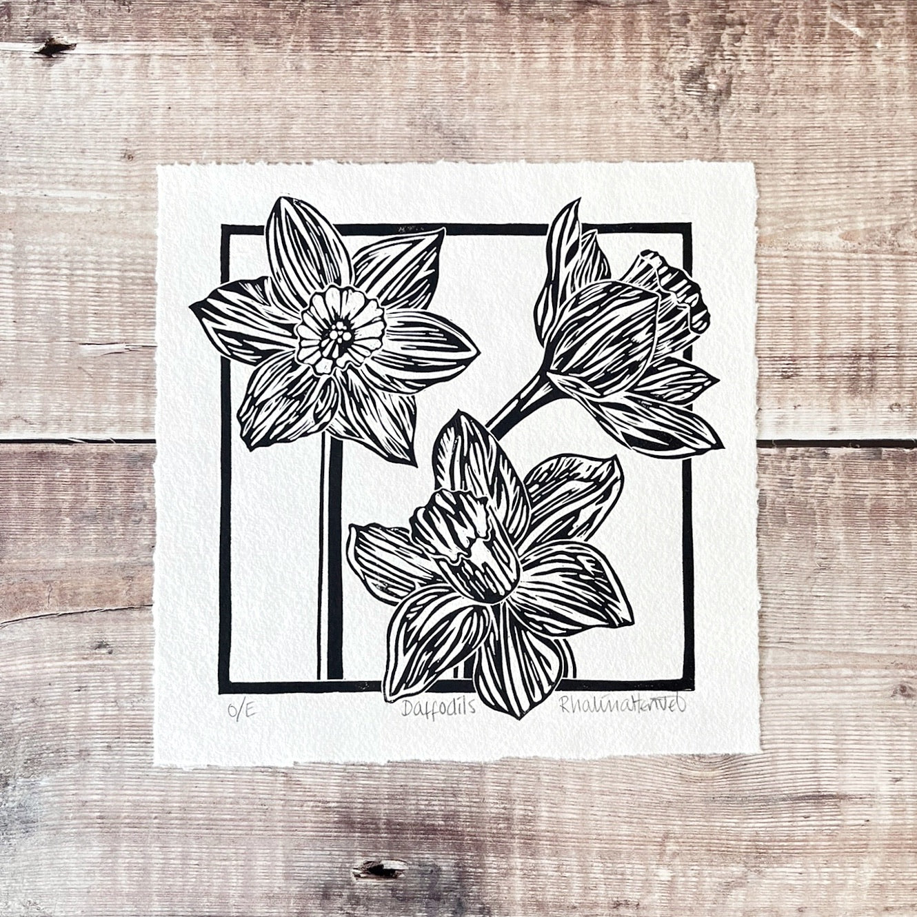 Lino print of Daffodils in black ink on off white paper, laid on a wooden surface. 