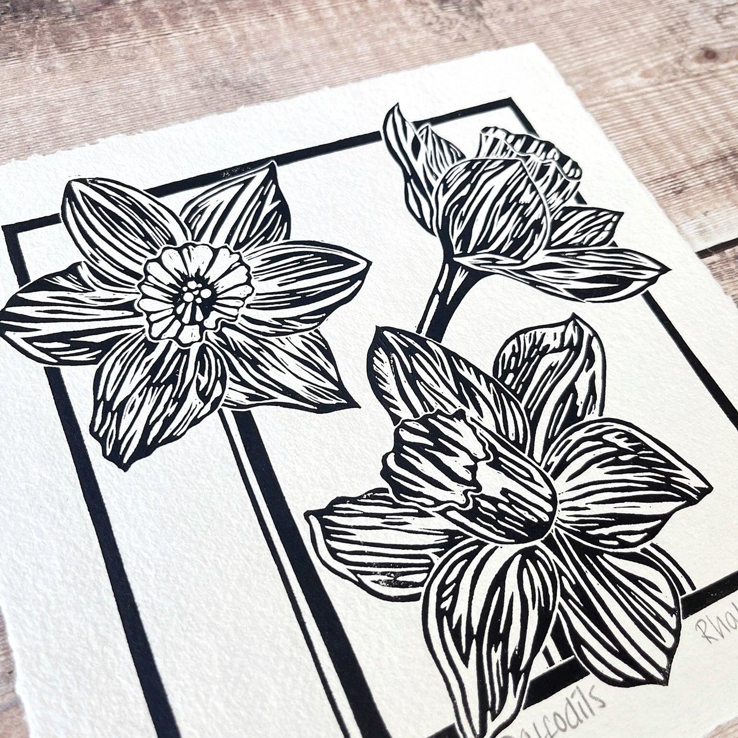 Close up of lino print of Daffodils in black ink on off white paper, laid on a wooden surface. 