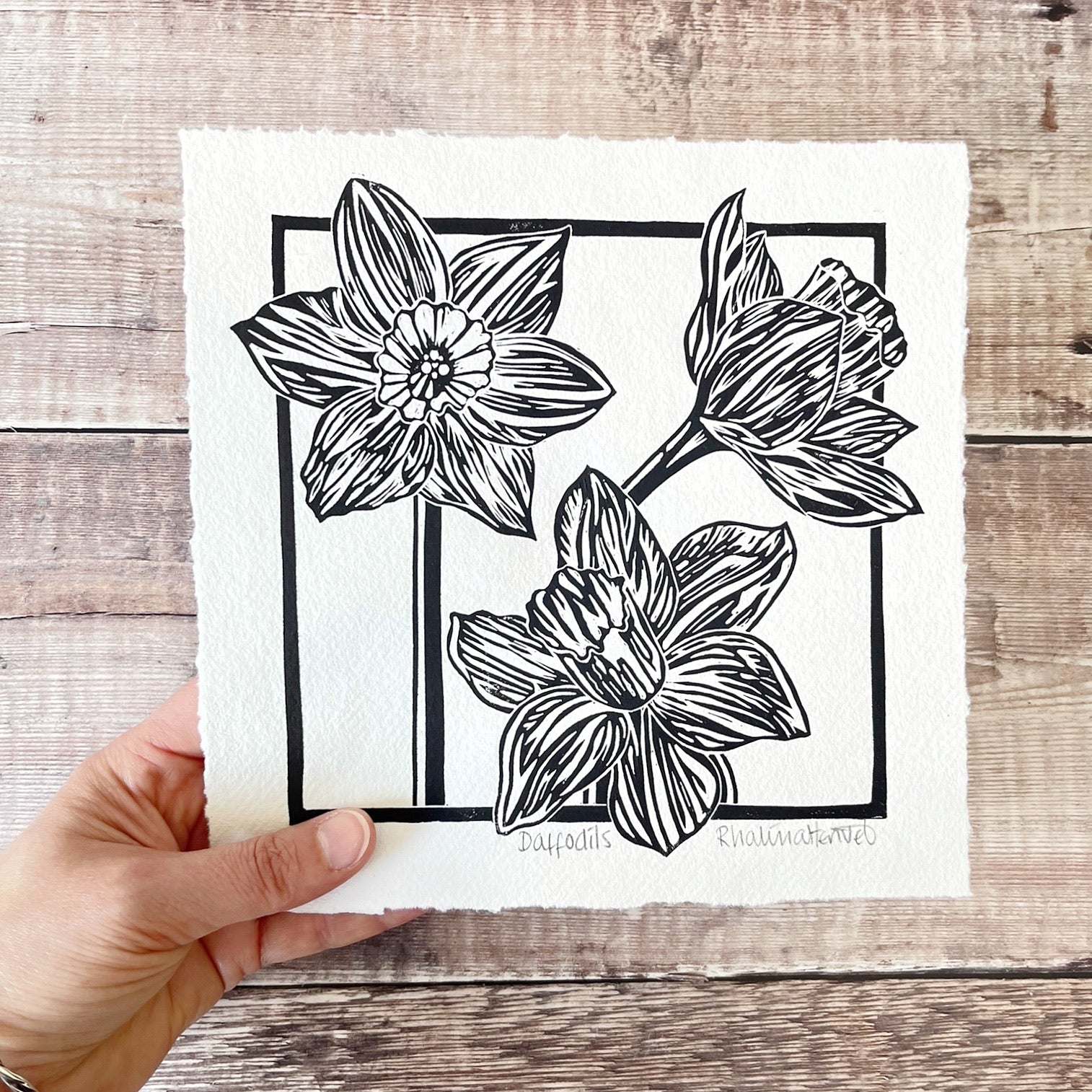 Lino print of Daffodils in black ink on off white paper, held in a hand against a wooden surface. 