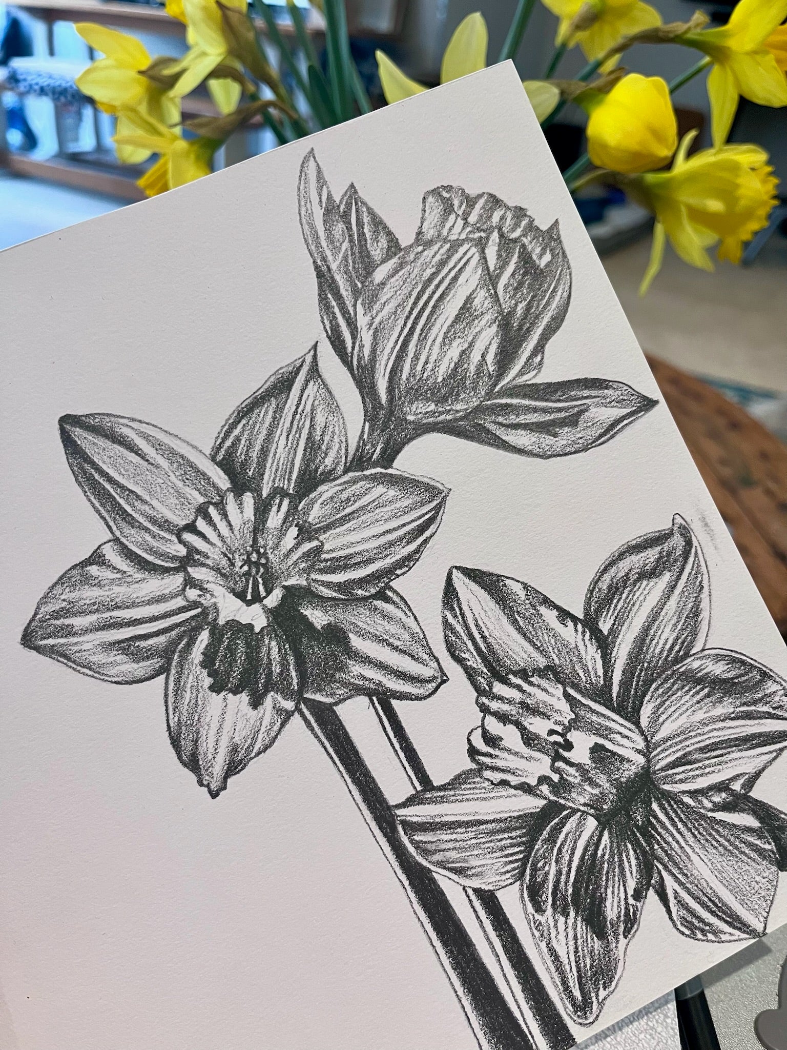 Pencil drawing that was part of the daffodil print design process